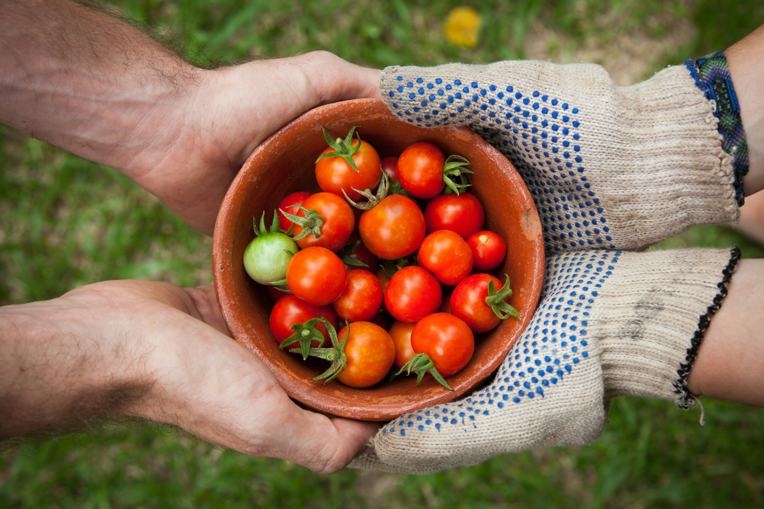 Volunteer at a Community Kitchen with the Den