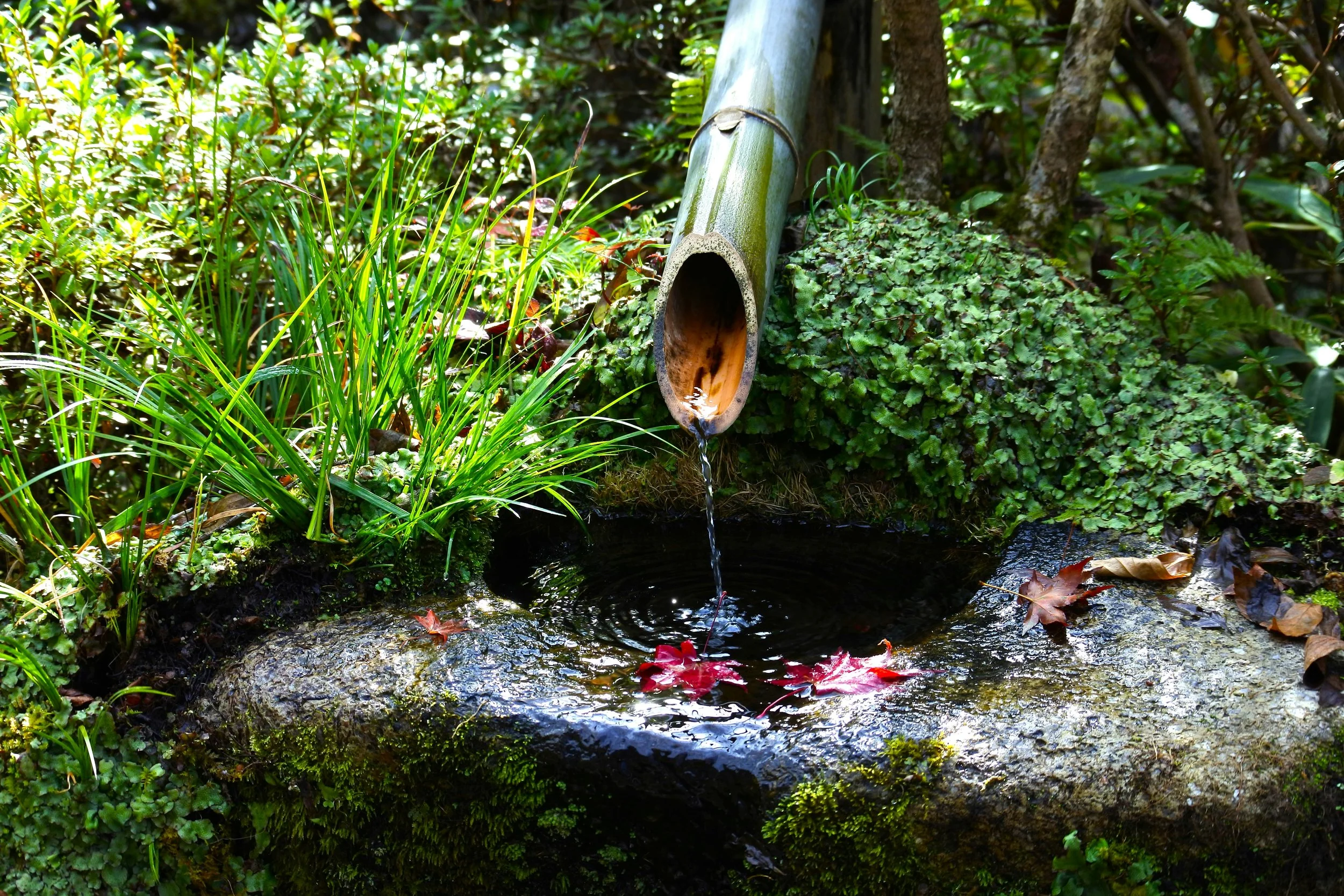 Preparing to Let Go: A Creative Practice for the New Year