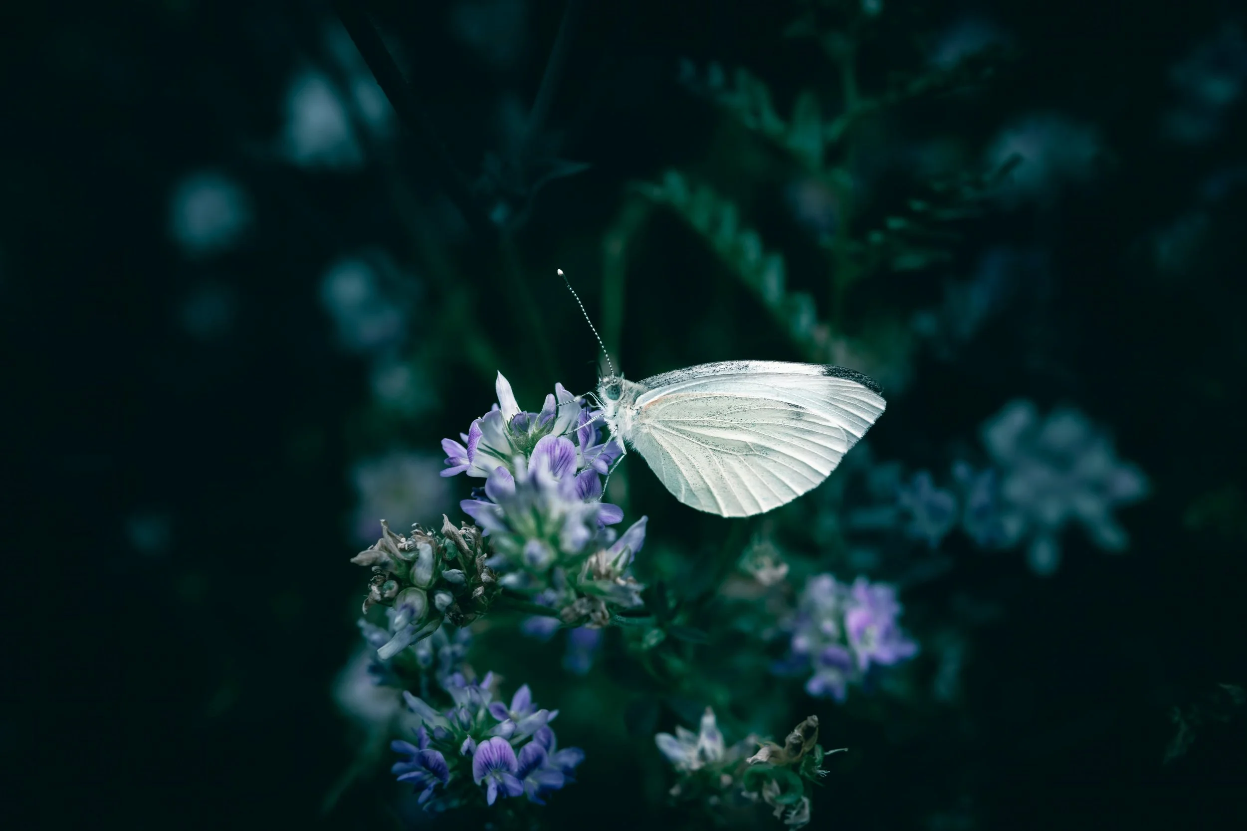 Remember &amp; Return: Sarah, Hannah &amp; the Work of Becoming