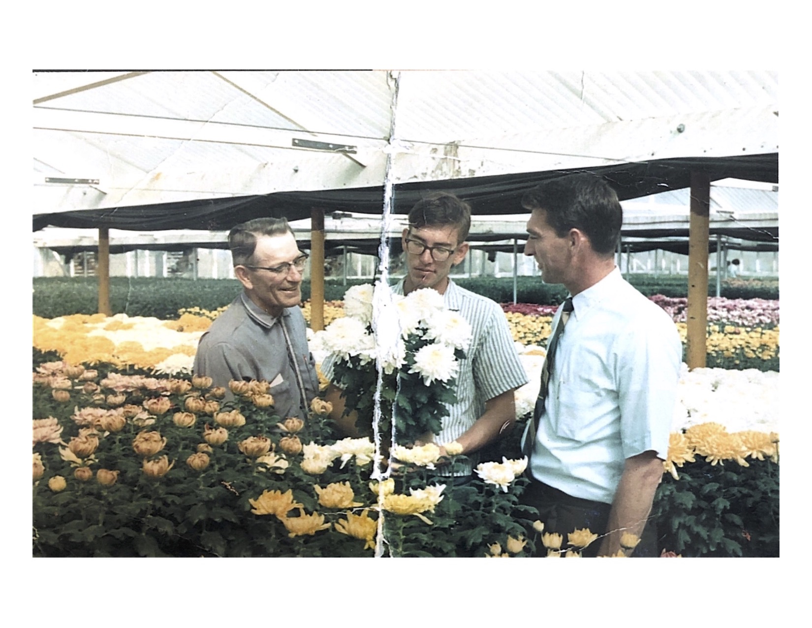 boys in greenhouse with mums.jpg