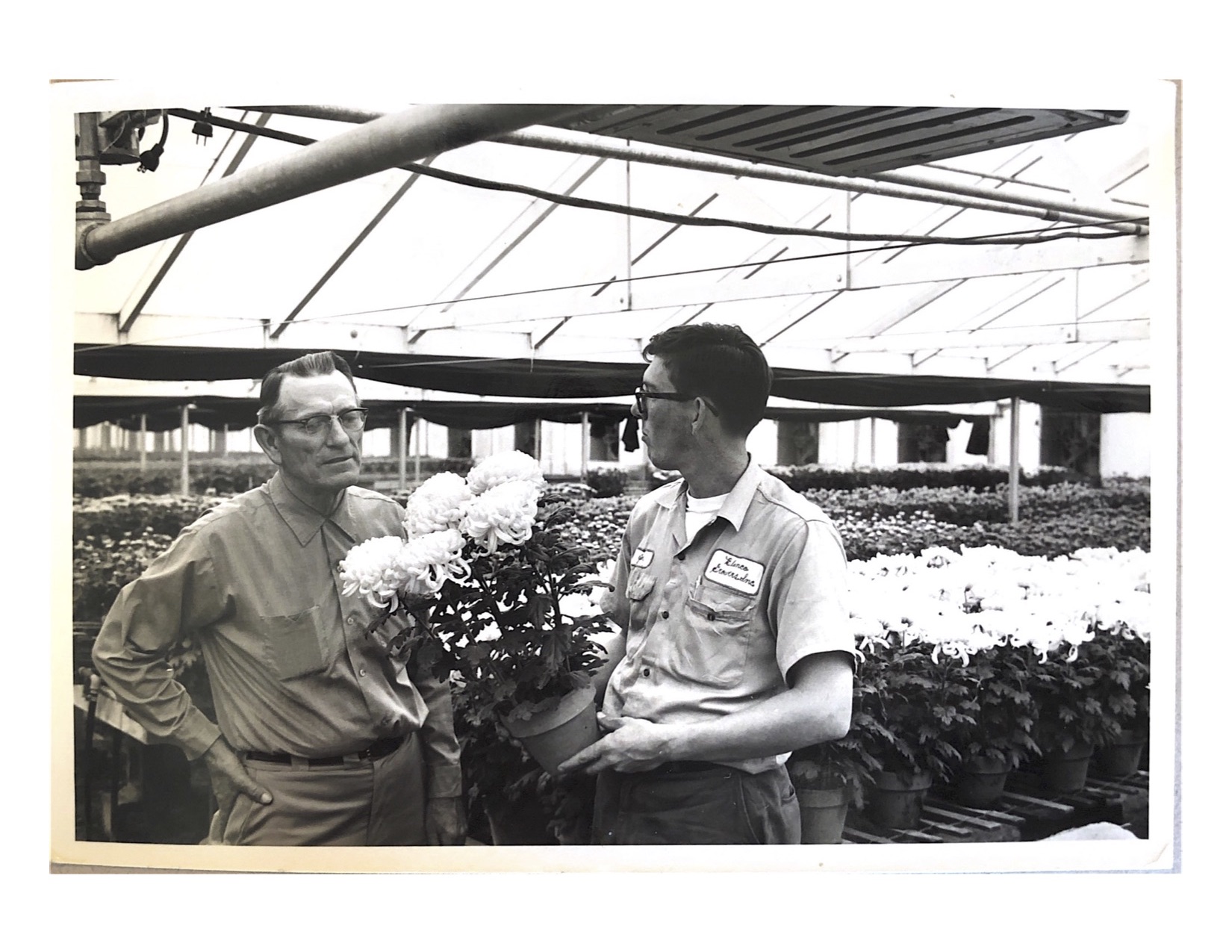 papaw and gpa john in greenhouse.jpg