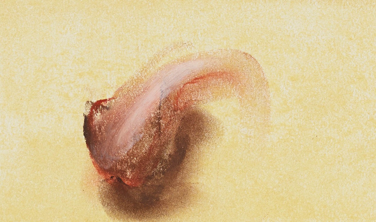 11_Nothing_After_Dana_Schutz_18x24_2025_detail 3.jpg