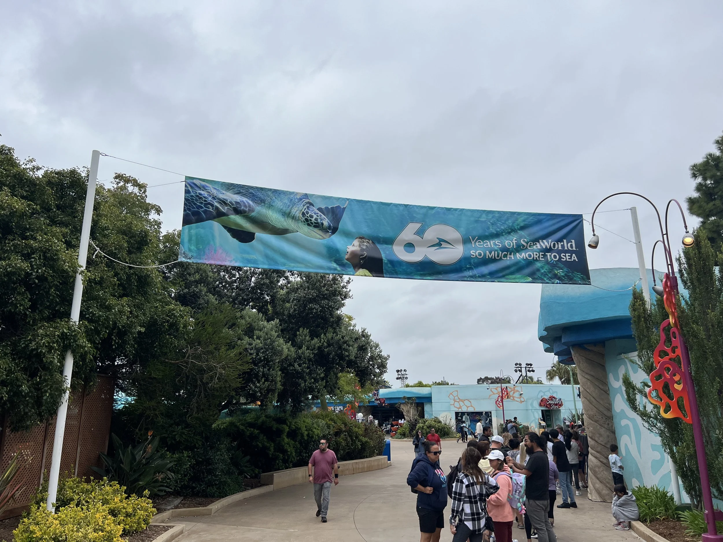 60th Anniversary Banner