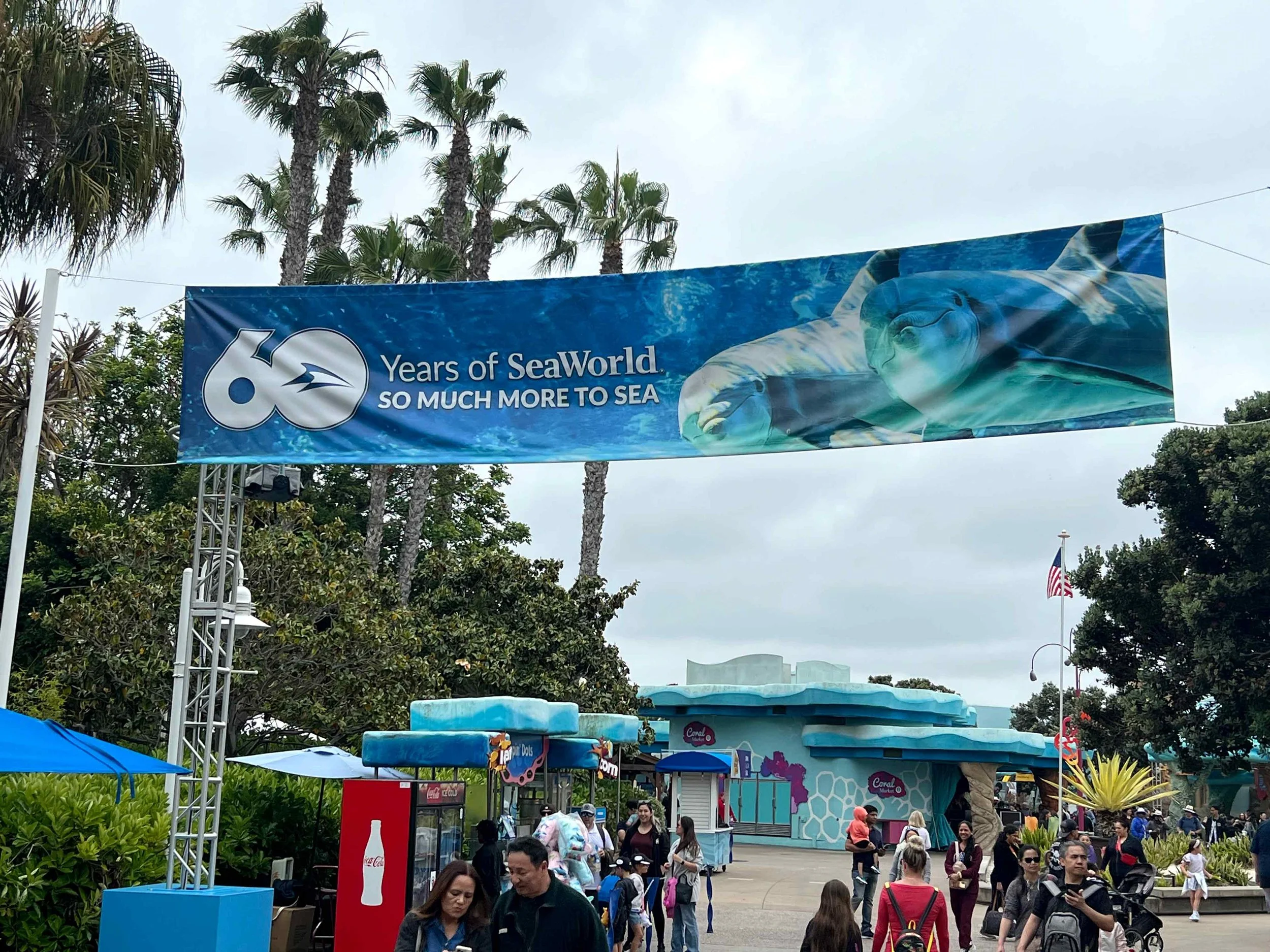 60th Anniversary Banner