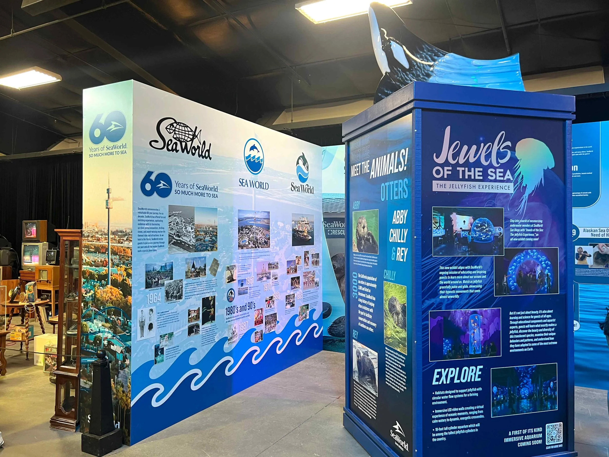 60th Anniversary Display