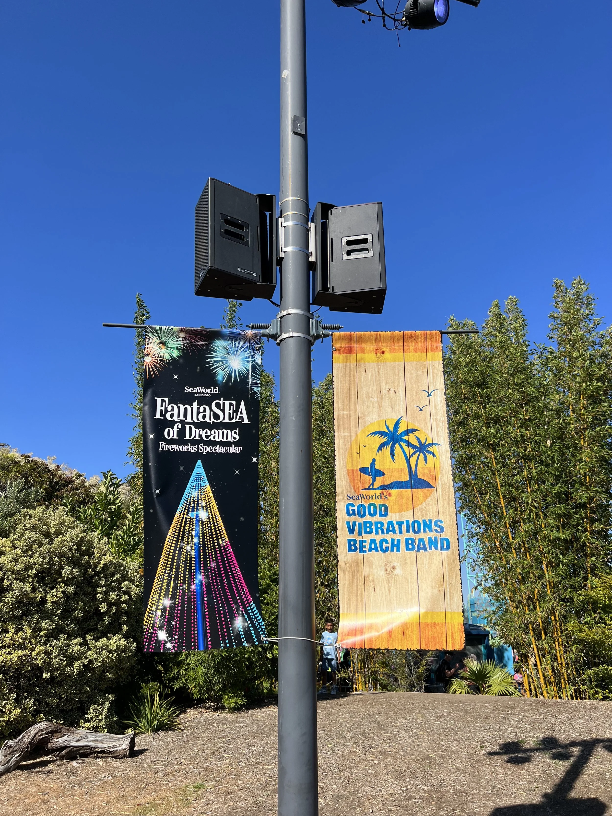 Summer Concert Banner