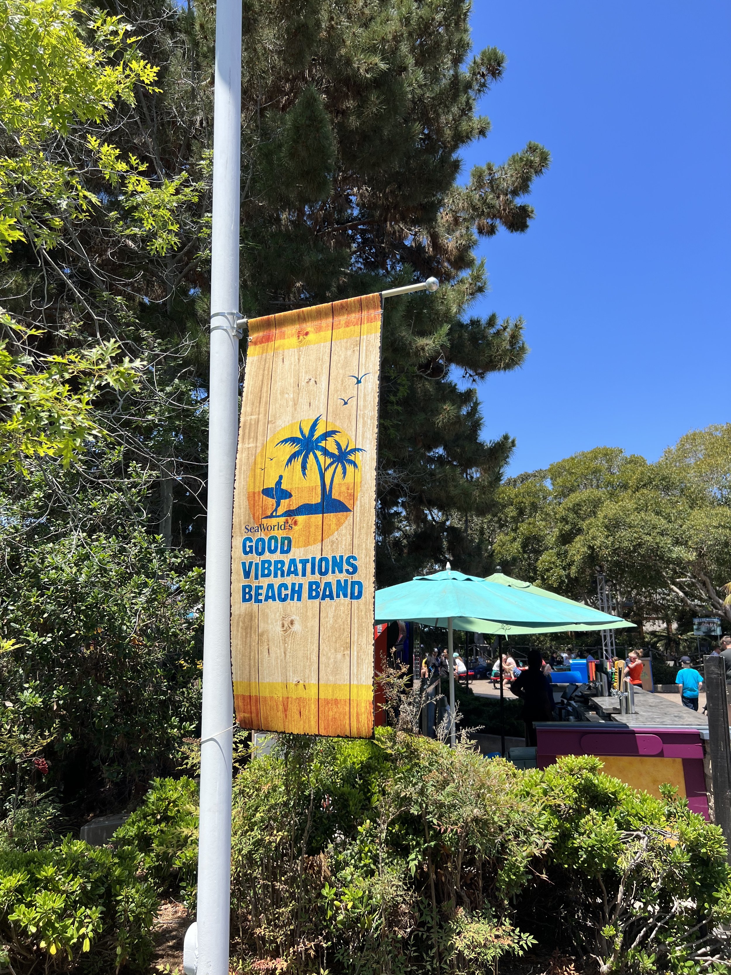 Summer Concert Banner