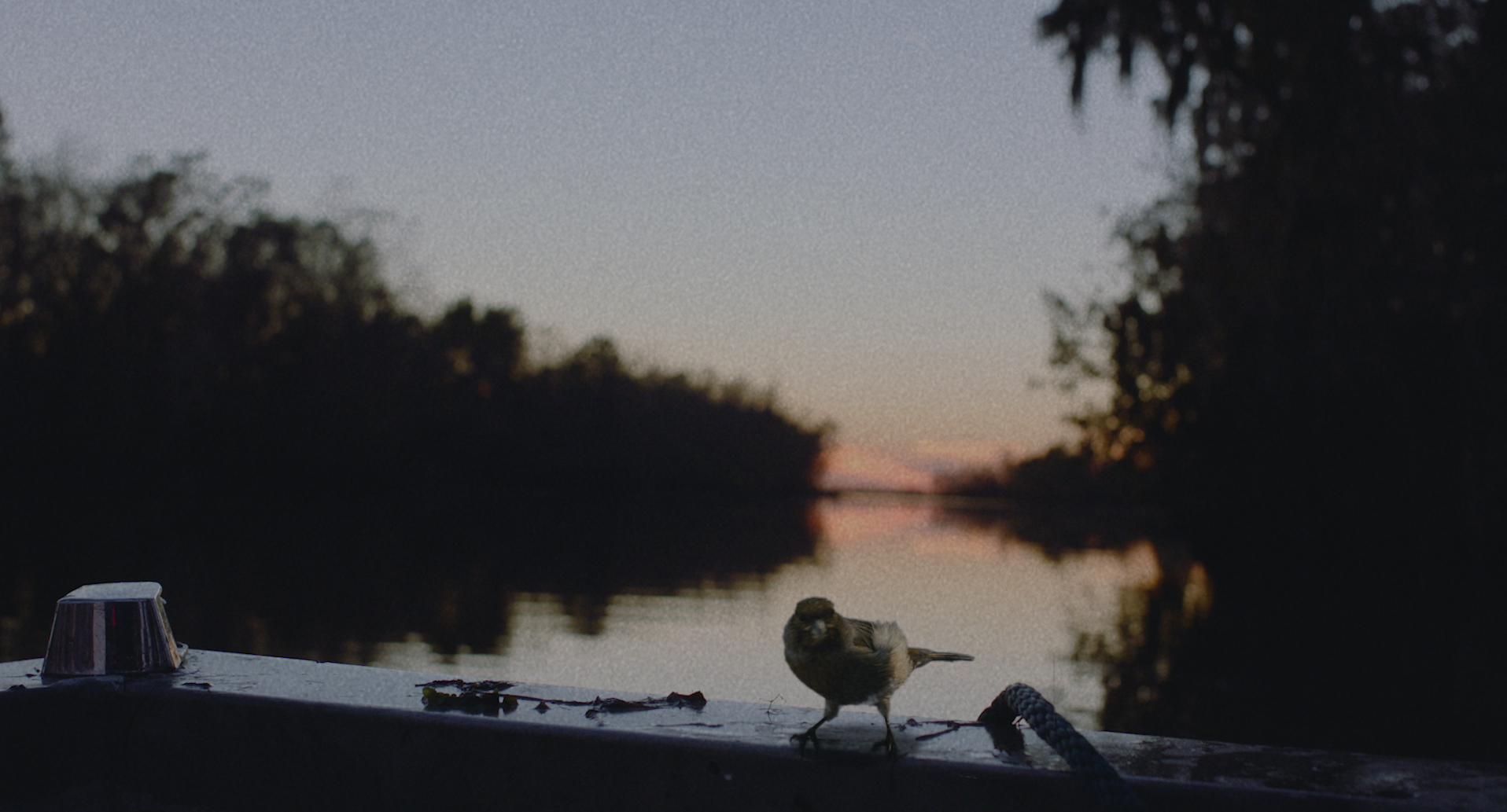 FINAL COLOR.00_02_16_20.Still003.png