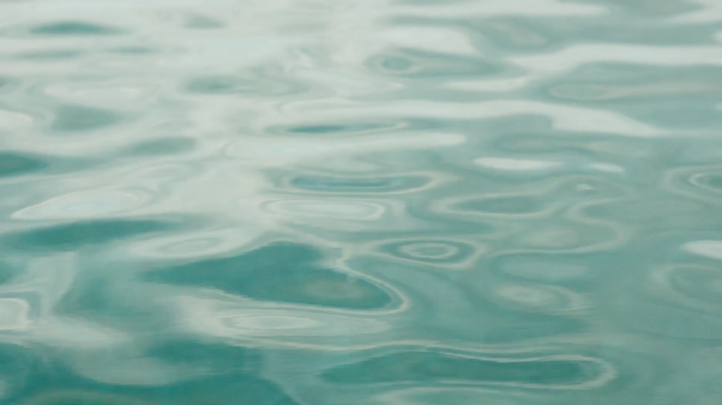 Screen Shot 2019-05-20 at 3.45.54 PM.png