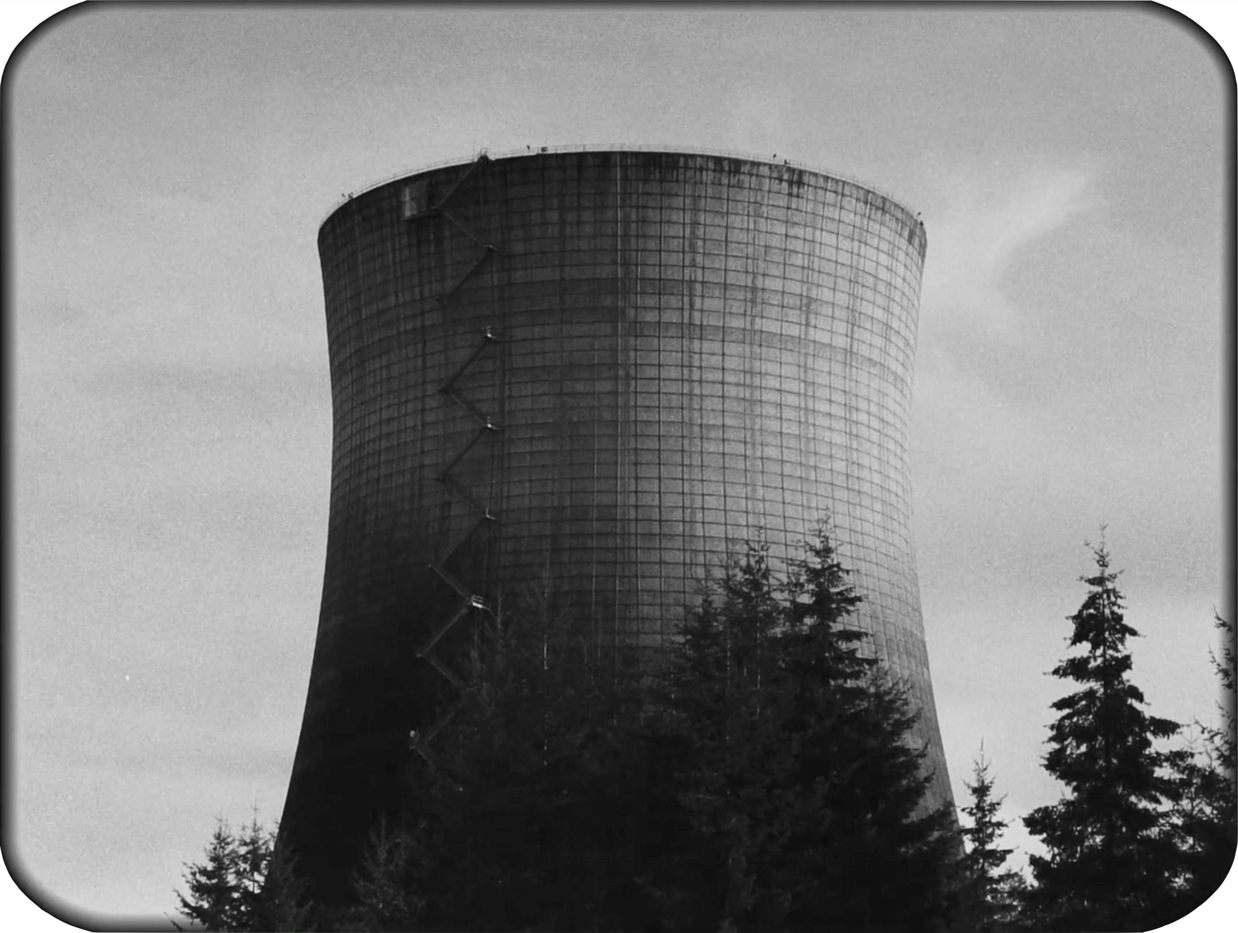 Screen Shot 2019-07-12 at 2.03.52 PM.png