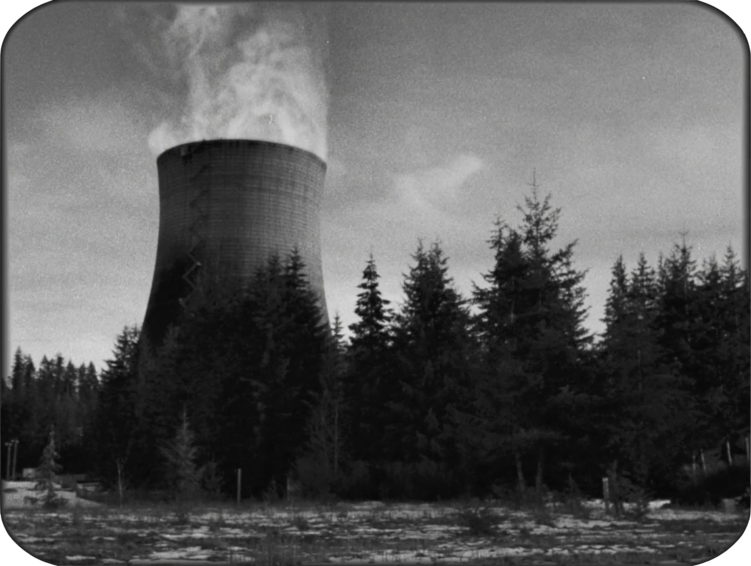 Screen Shot 2019-07-12 at 2.10.48 PM.png