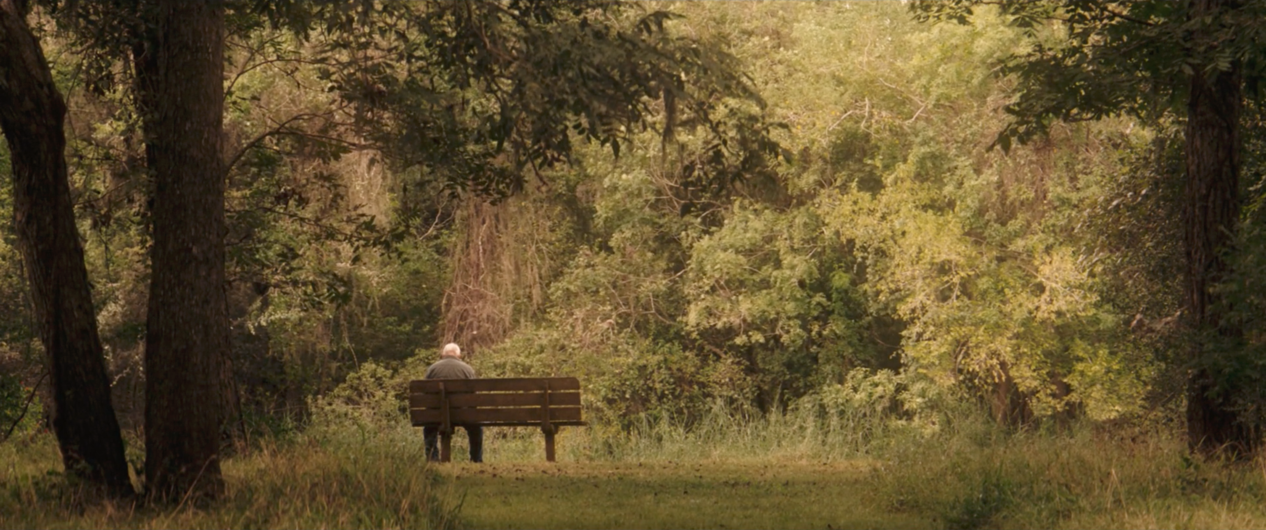 Screen Shot 2019-12-03 at 3.54.04 PM.png