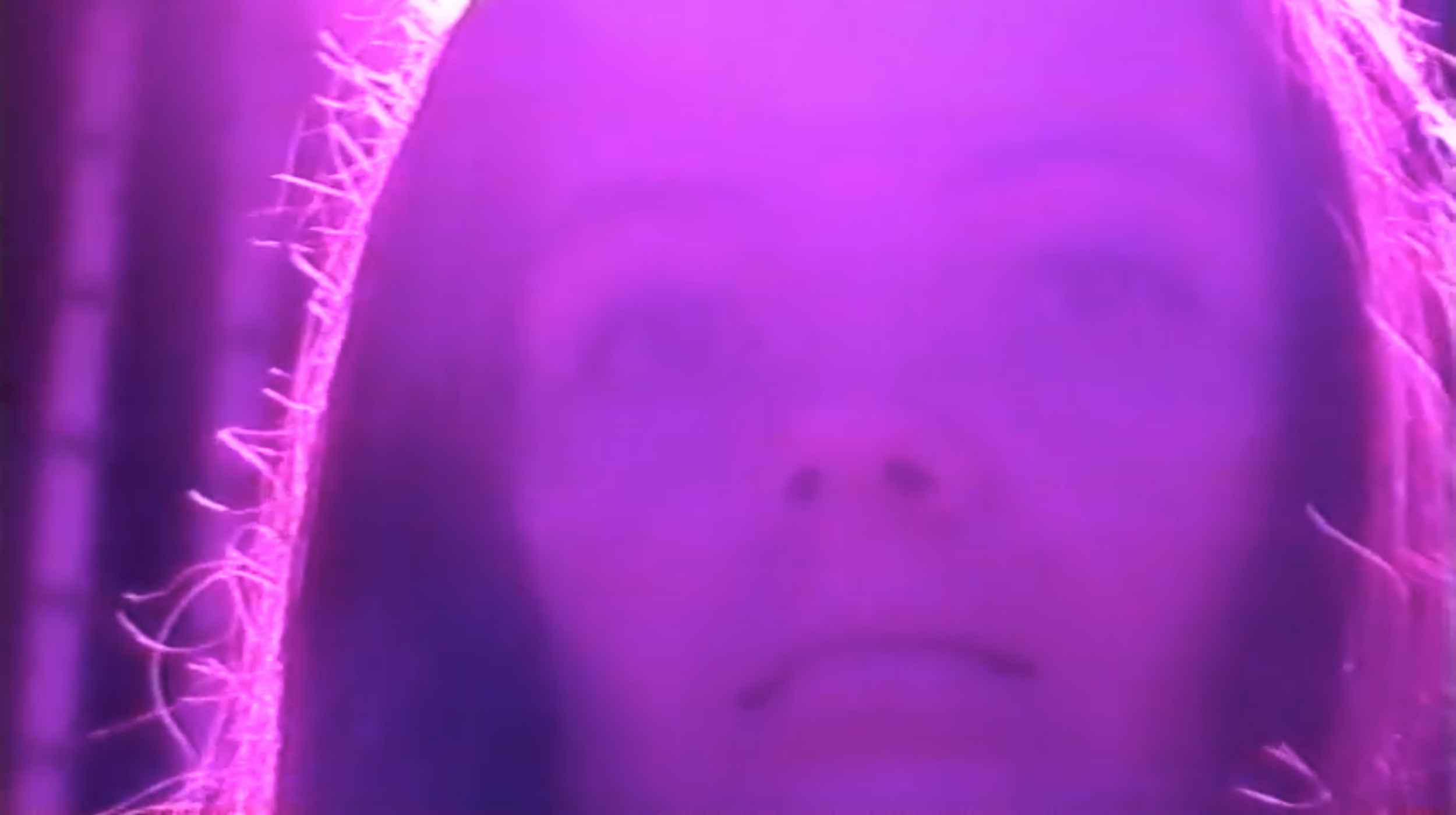 Screen Shot 2020-03-18 at 11.37.11 PM.png