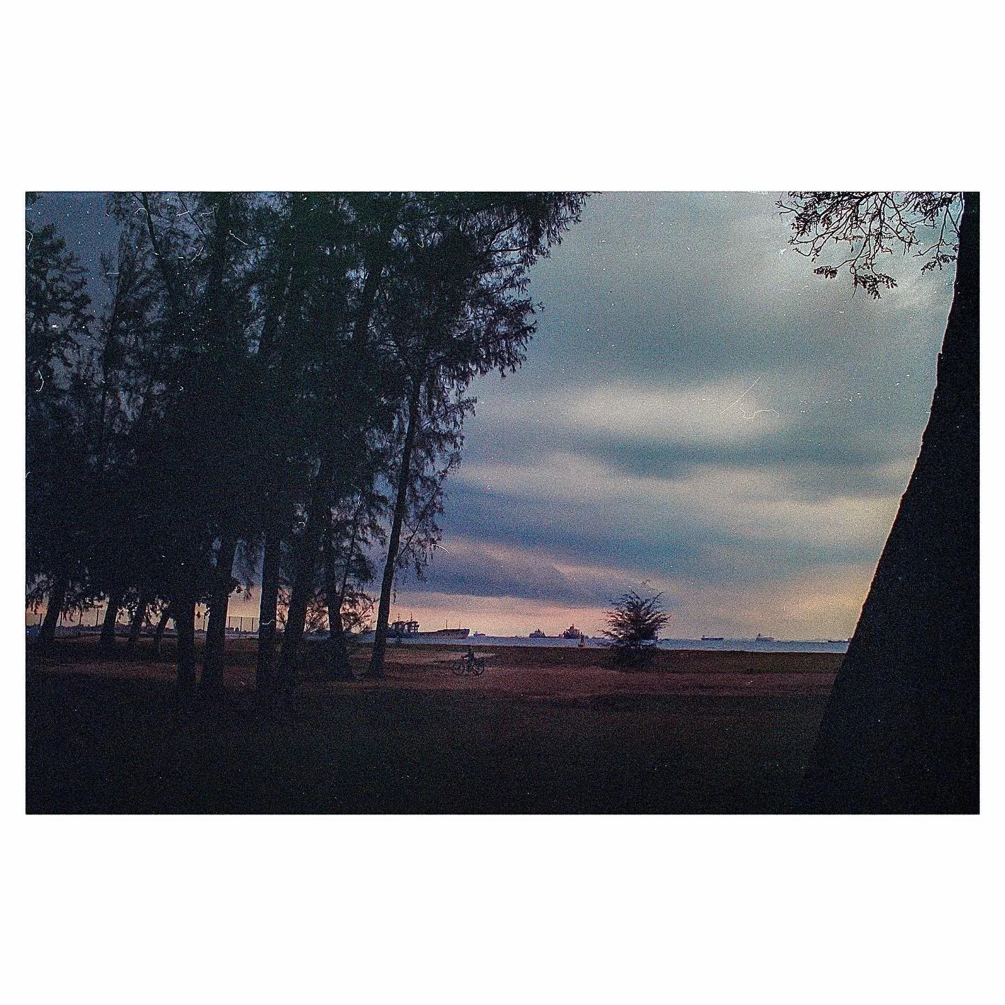 recently on my eyes
&bull;
&bull;
&bull;
&bull;
&bull;
#filmphotography #35mm #nikon #kodak #portra800 #singapore