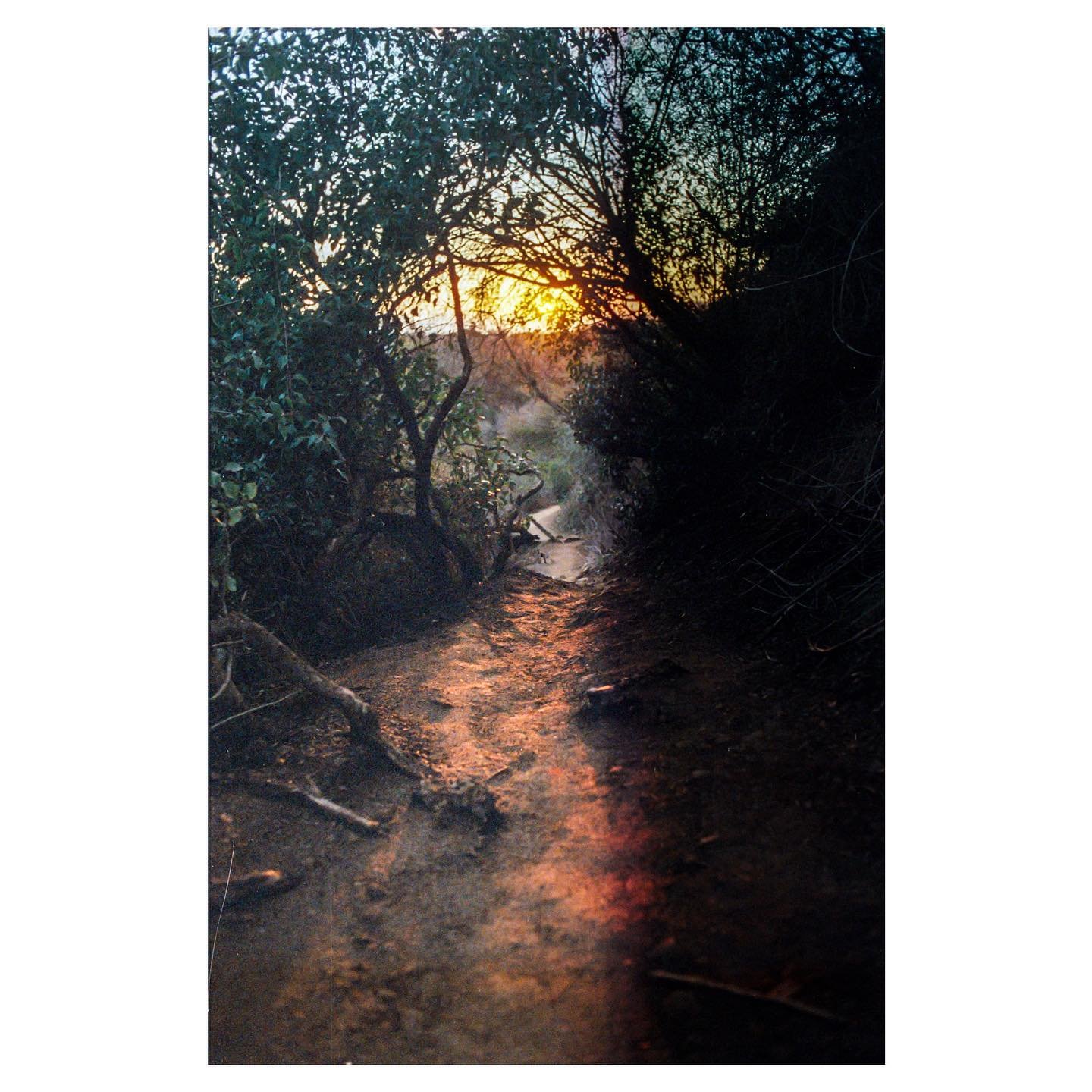 mistakes while developing are the best part of developing
&bull;
&bull;
&bull;
&bull;
&bull;
#35mm #filmphotography #nikon #kodak #portra800 #malibu #sunset