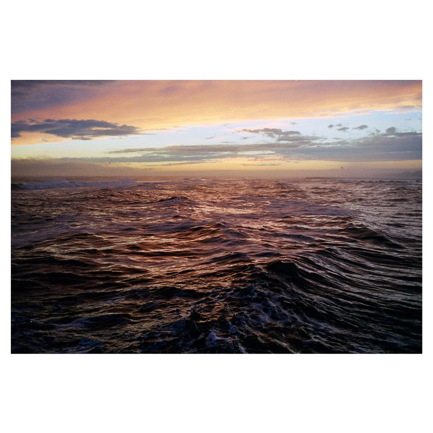 &bull;
&bull;
&bull;
&bull;
&bull;
#filmphotography #35mm #nikon #kodak #portra800