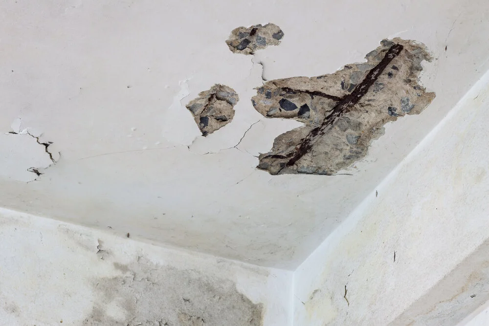 The Foundation Issues to Take Care of Before Buying a House