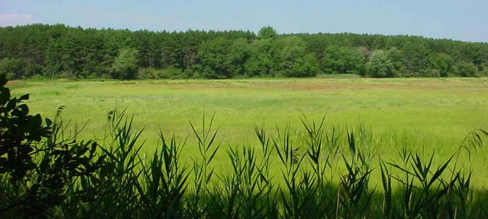 Hamlin Reservation