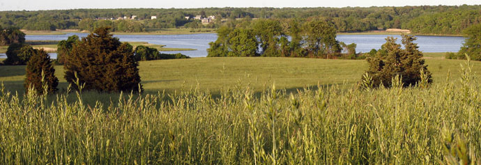 Westport Town Farm