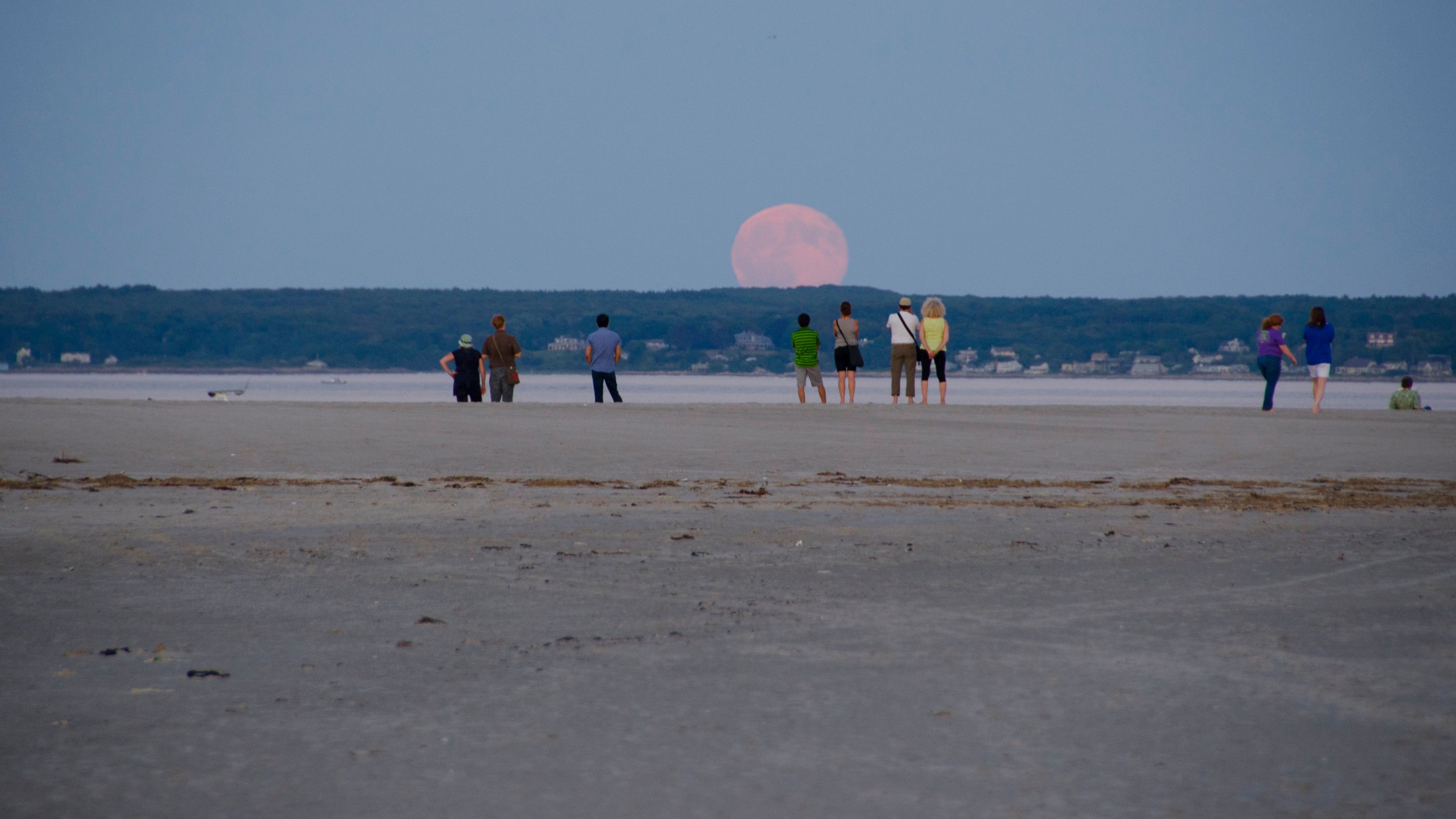   On the coast, The Trustees protect, engage, and connect     Join us on the coast   