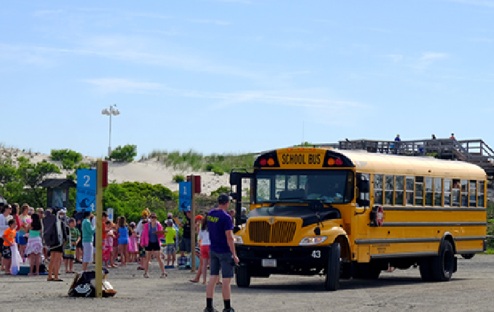  A school bus bringing children to the picnic: 2016 