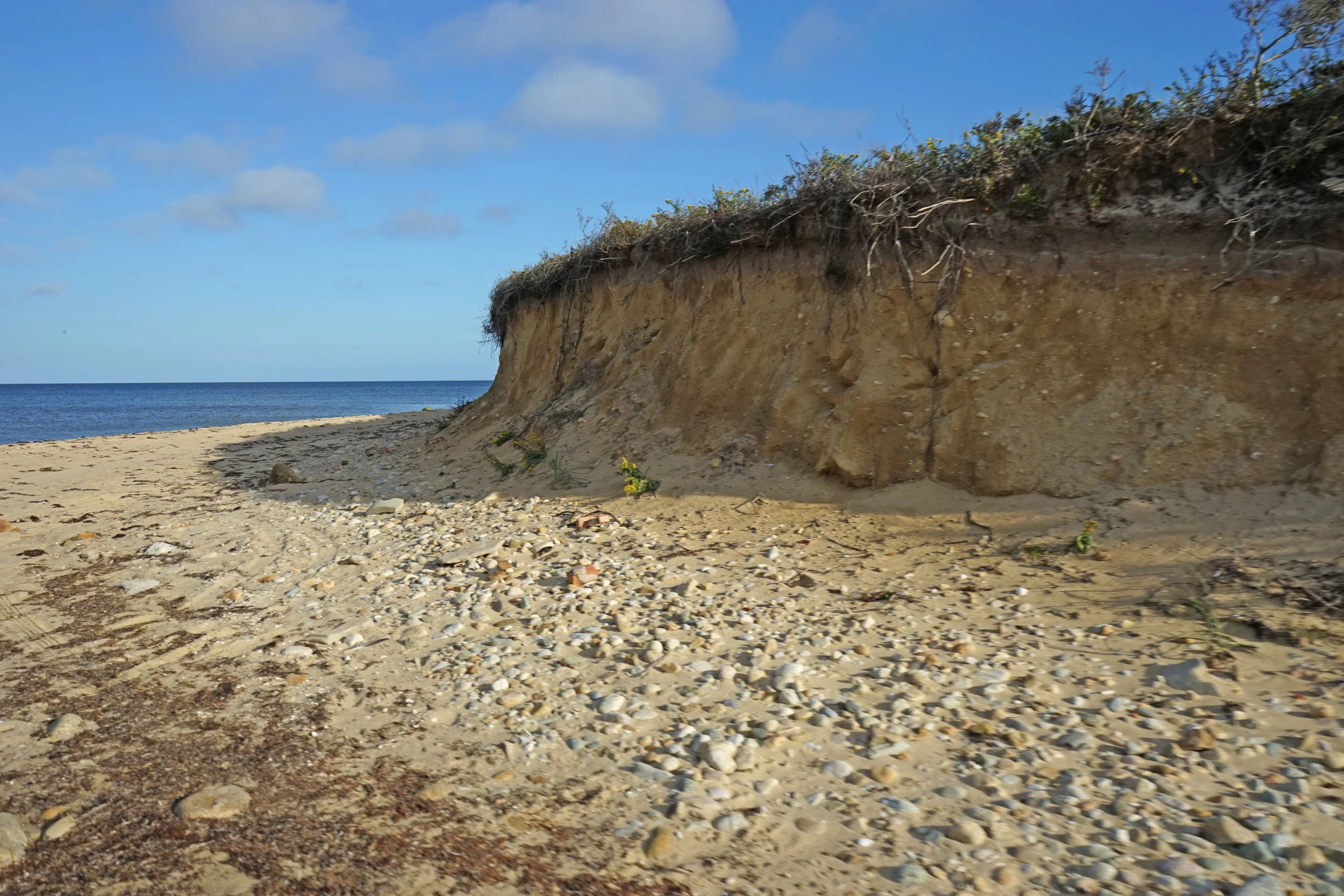 Taste of the Coast Cooking Demonstration &amp; Presentation
