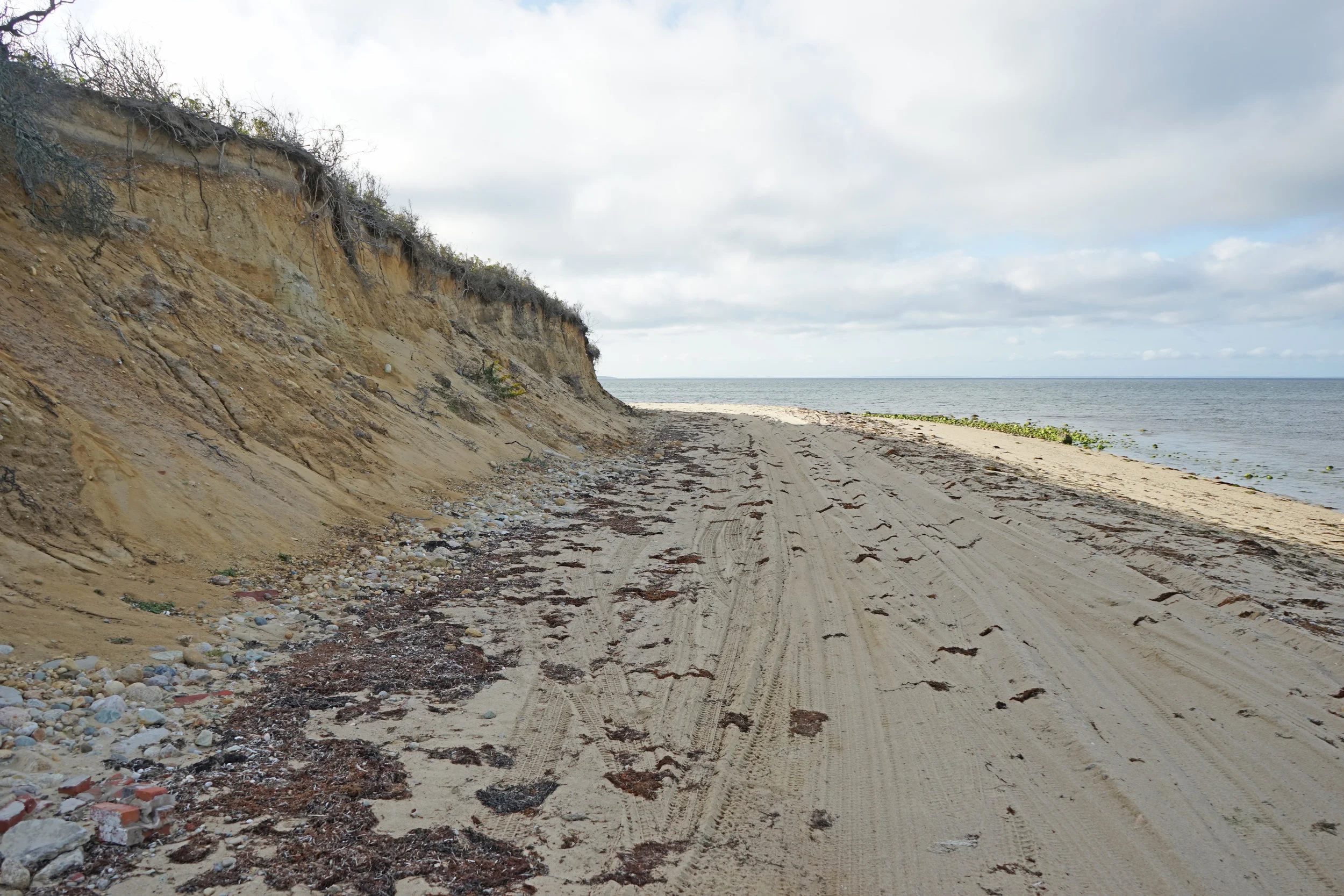 Taste of the Coast Cooking Demonstration &amp; Presentation