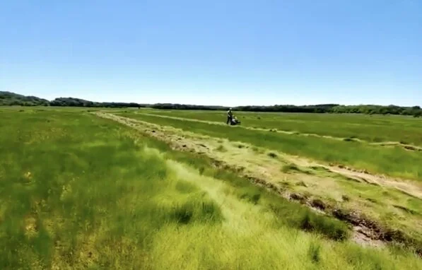 Streaming from the marsh: A project update on Facebook Live