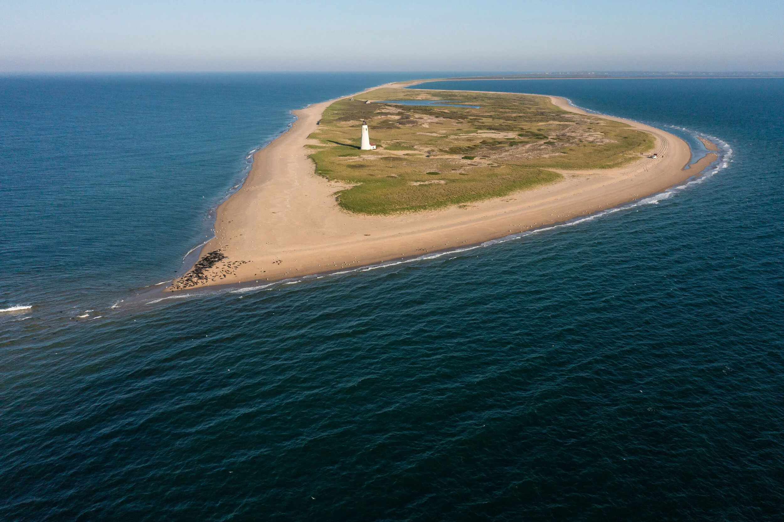 Resilience on Nantucket: Coskata-Coatue Wildlife Refuge | Podcast ep.1