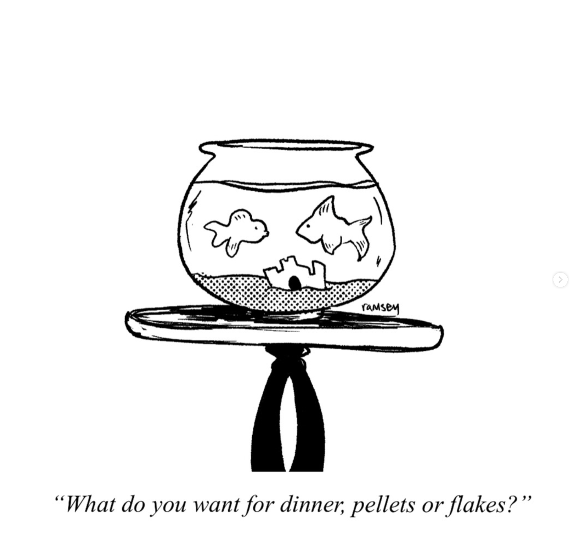 Screenshot 2026-01-09 at 3.42.17 PM.png