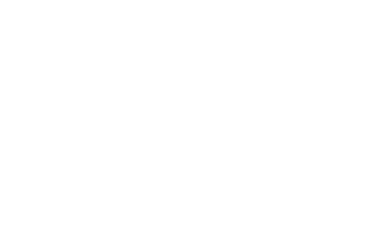 KCflowers.png