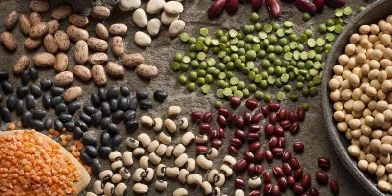 Are Lectins bad for you?