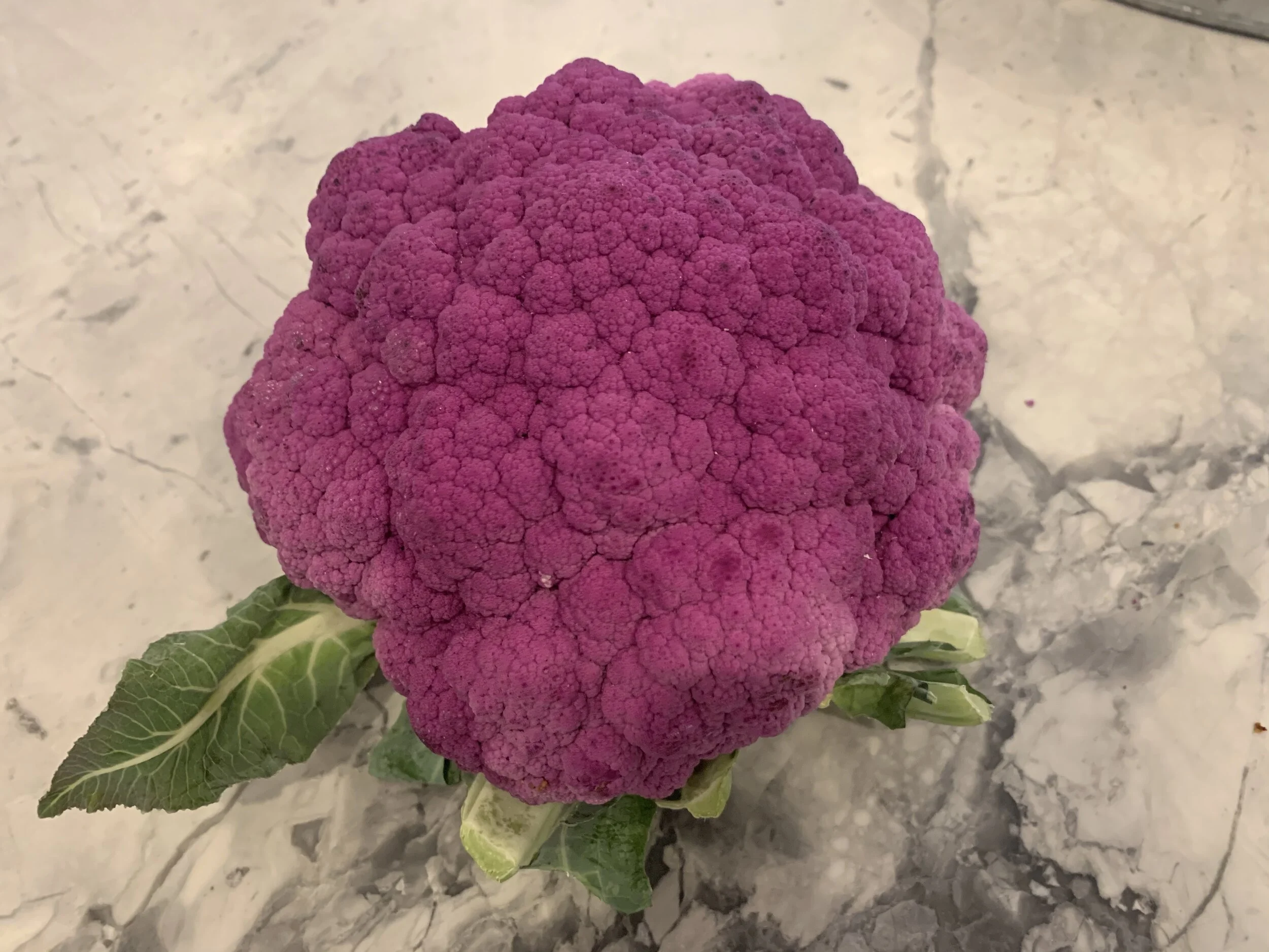 Purple Cauliflower