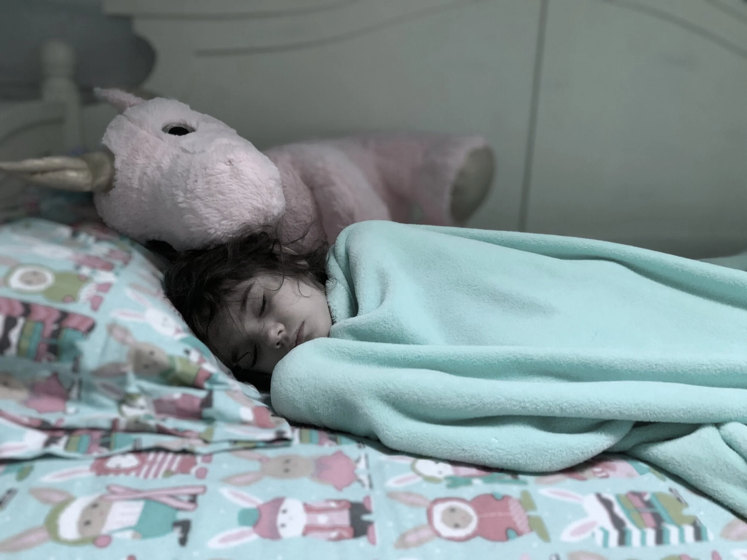 Sleep, We know we need it but why?