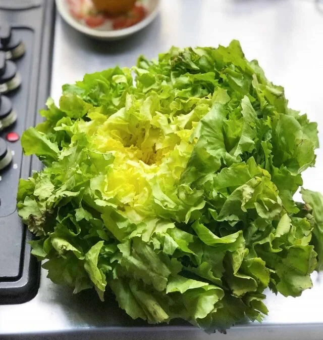 Escarole-640x672.jpg