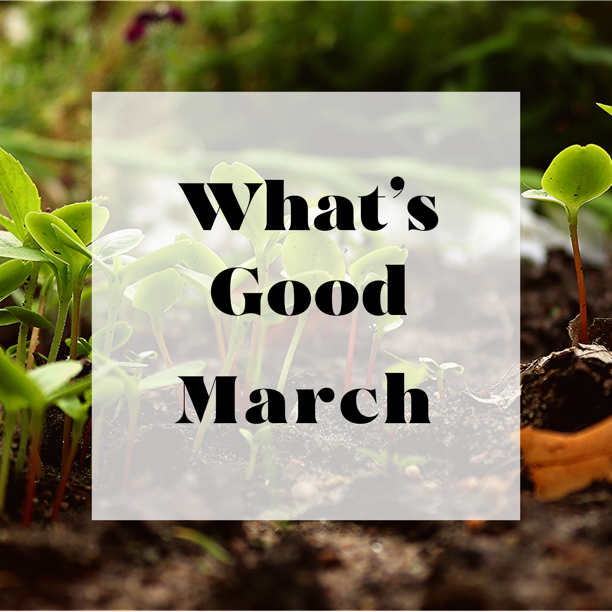 What's Good March.....Madness?