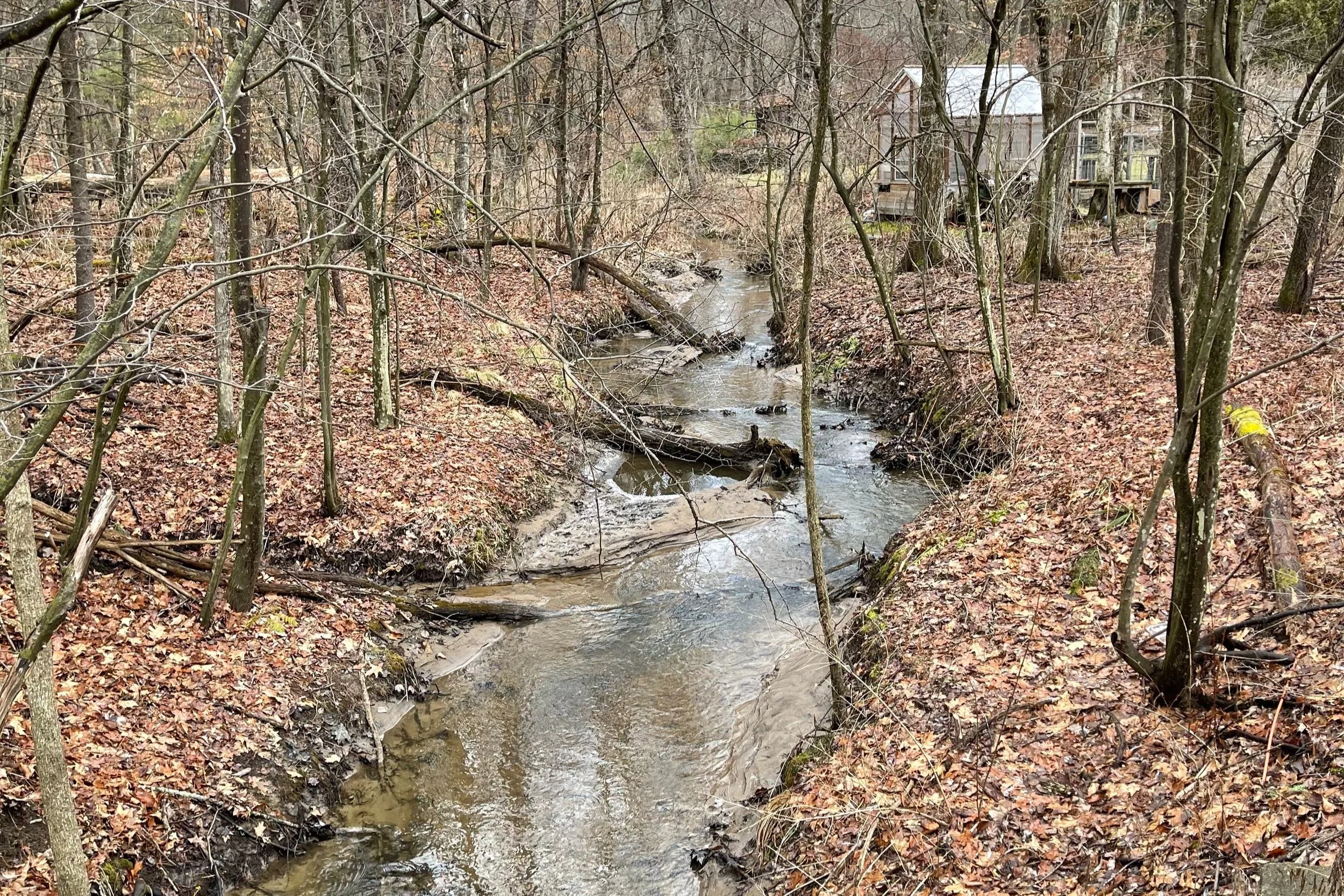 I was walking in my neighborhood today,&nbsp;