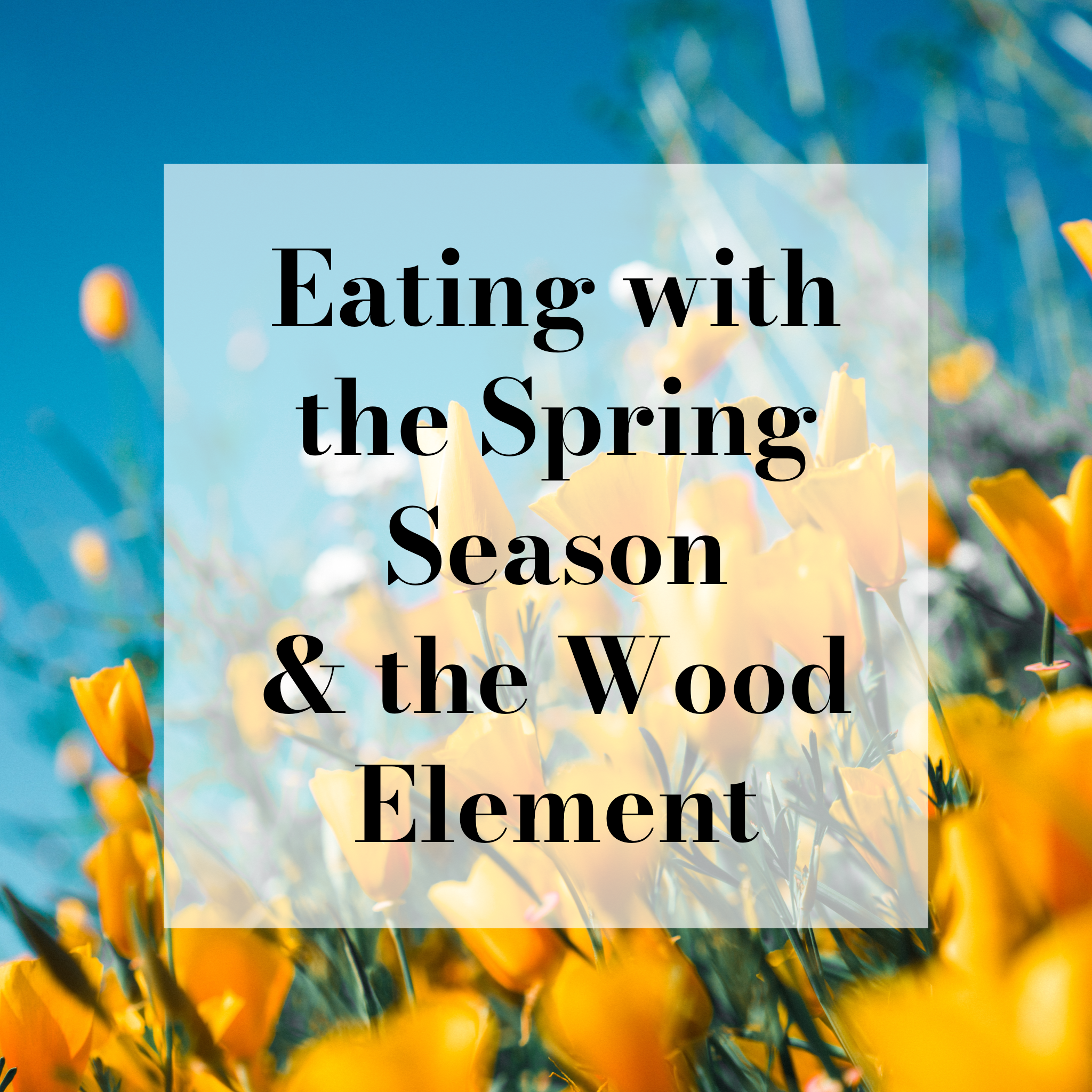 Eating with Spring Time 