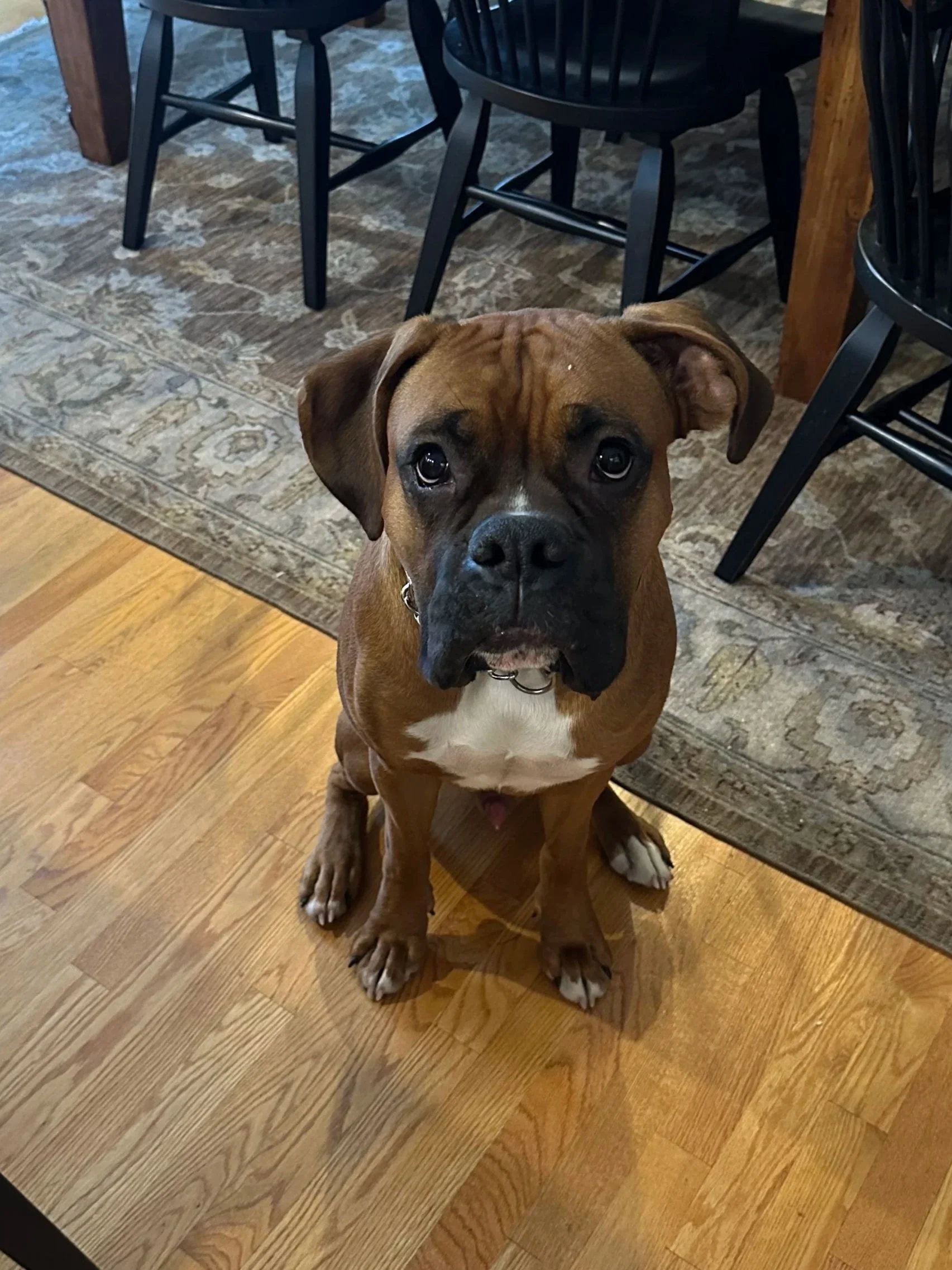 Which Hungry are you? 