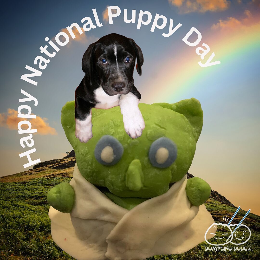 Happy National Puppy Day Y&rsquo;all!
#dumplingdudez