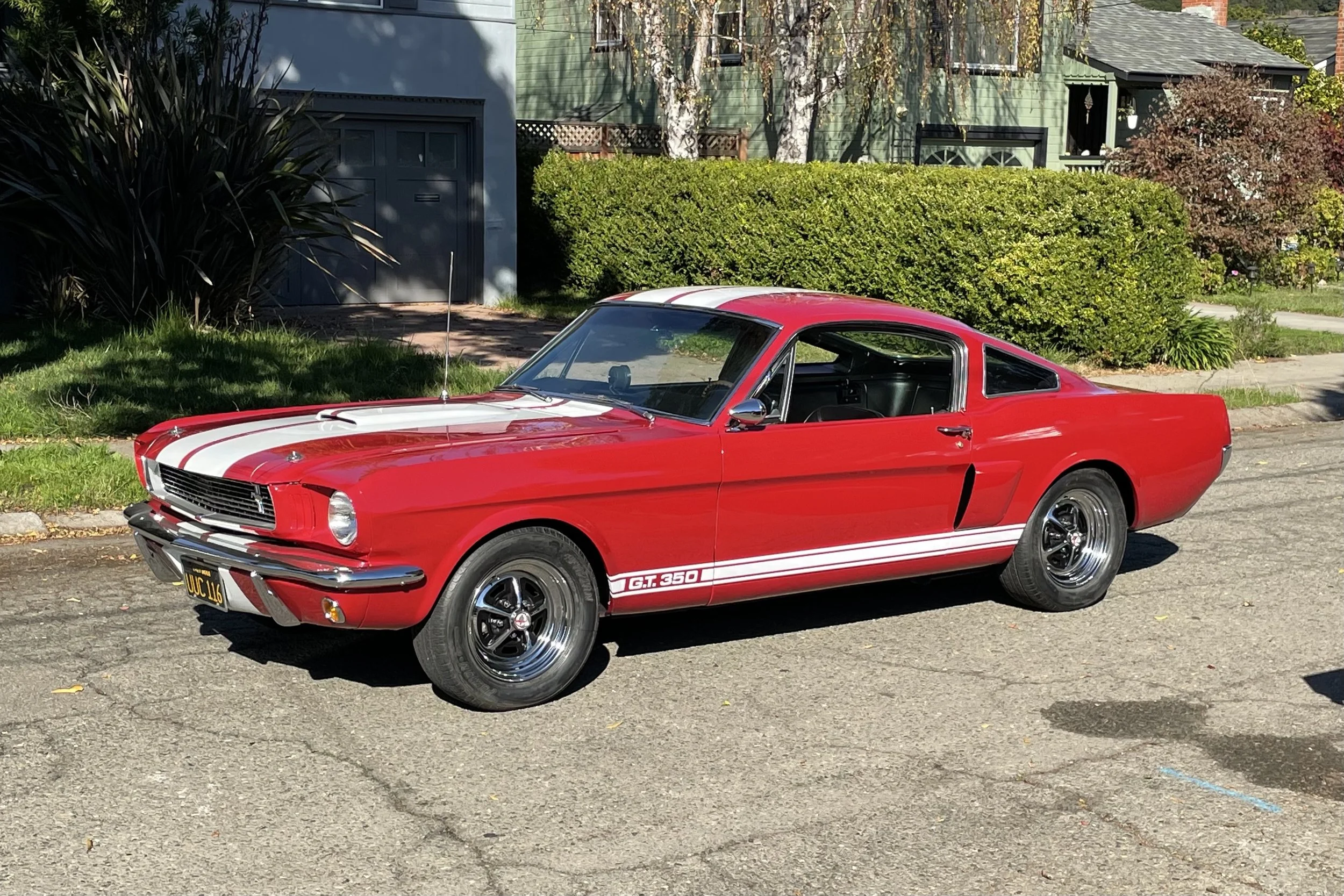 1966 Shelby GT350