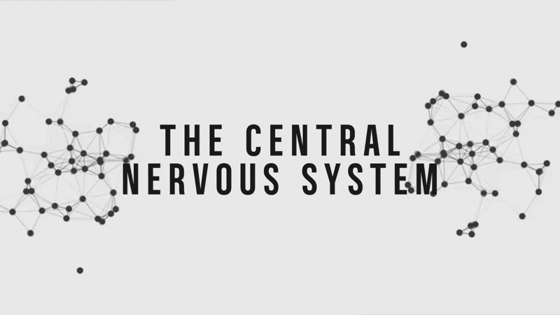 Train Your Nervous System