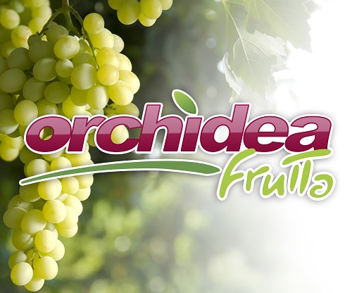 ORCHIDEA frutta-LQ.jpg