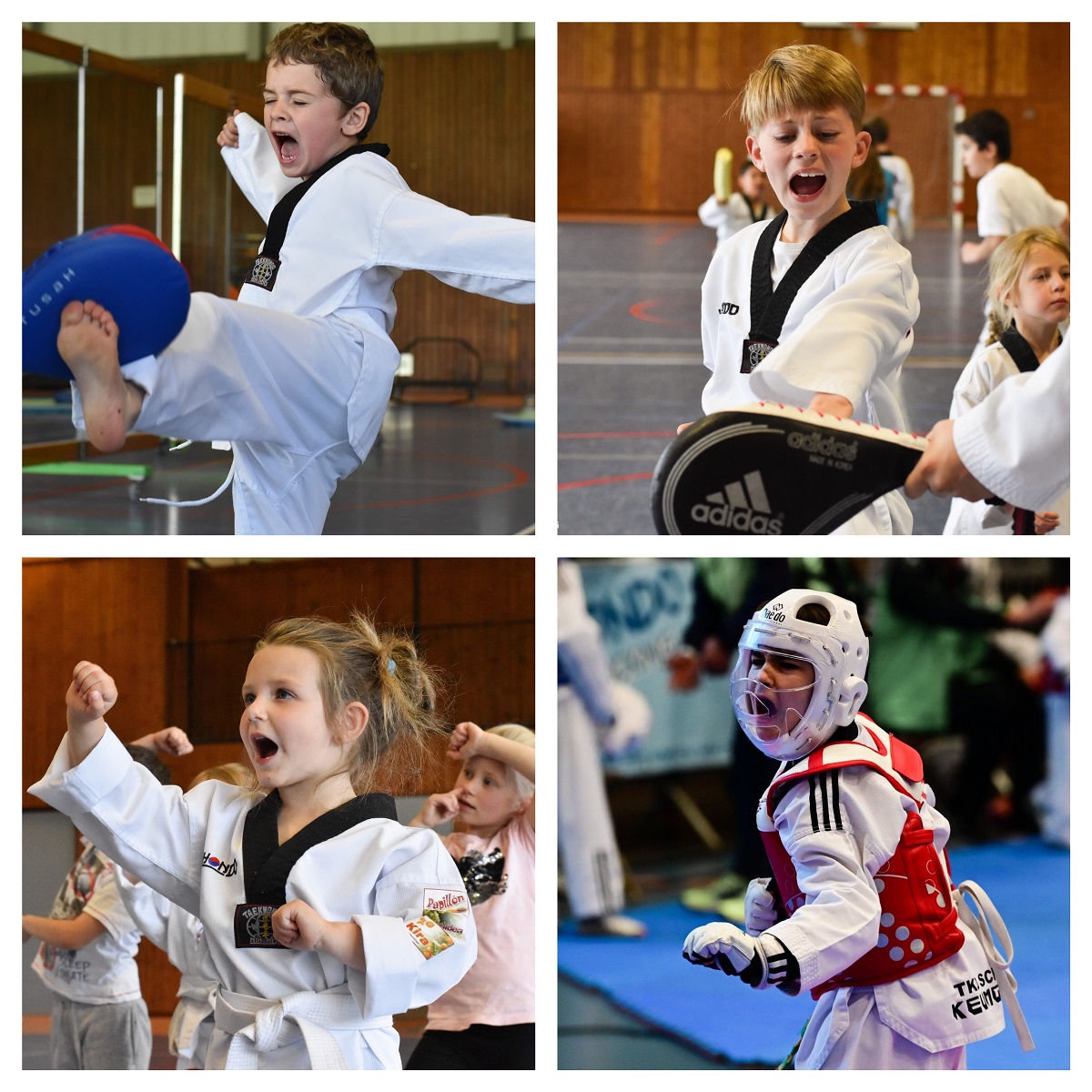 Taekwondo, Diest, Zelfvertrouwen, Doorzettingsvermogen