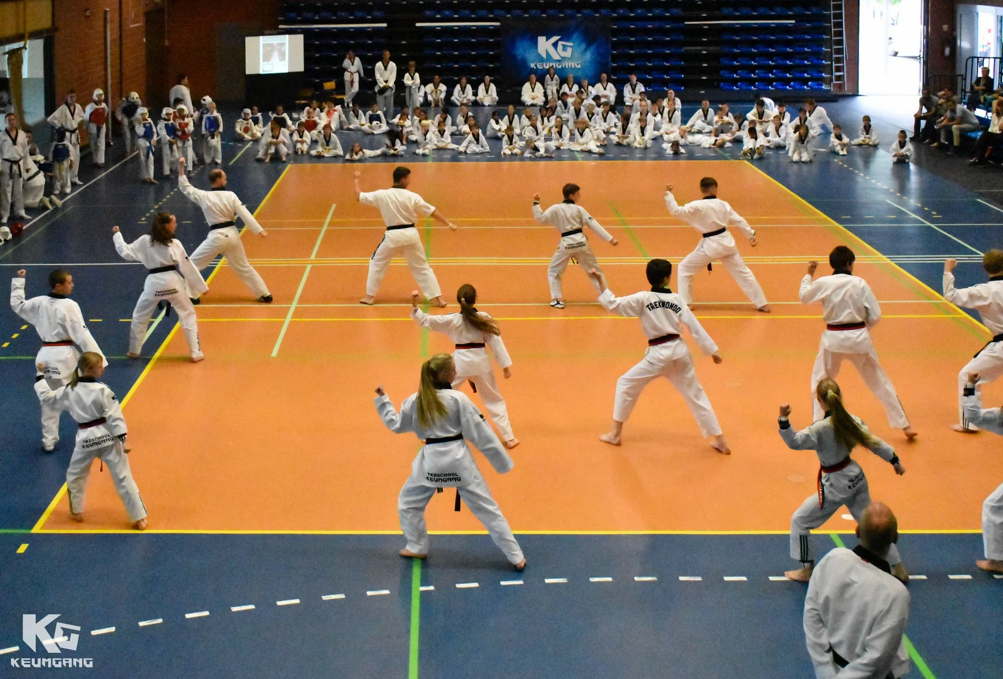 WAT-Poomsae_1.jpg