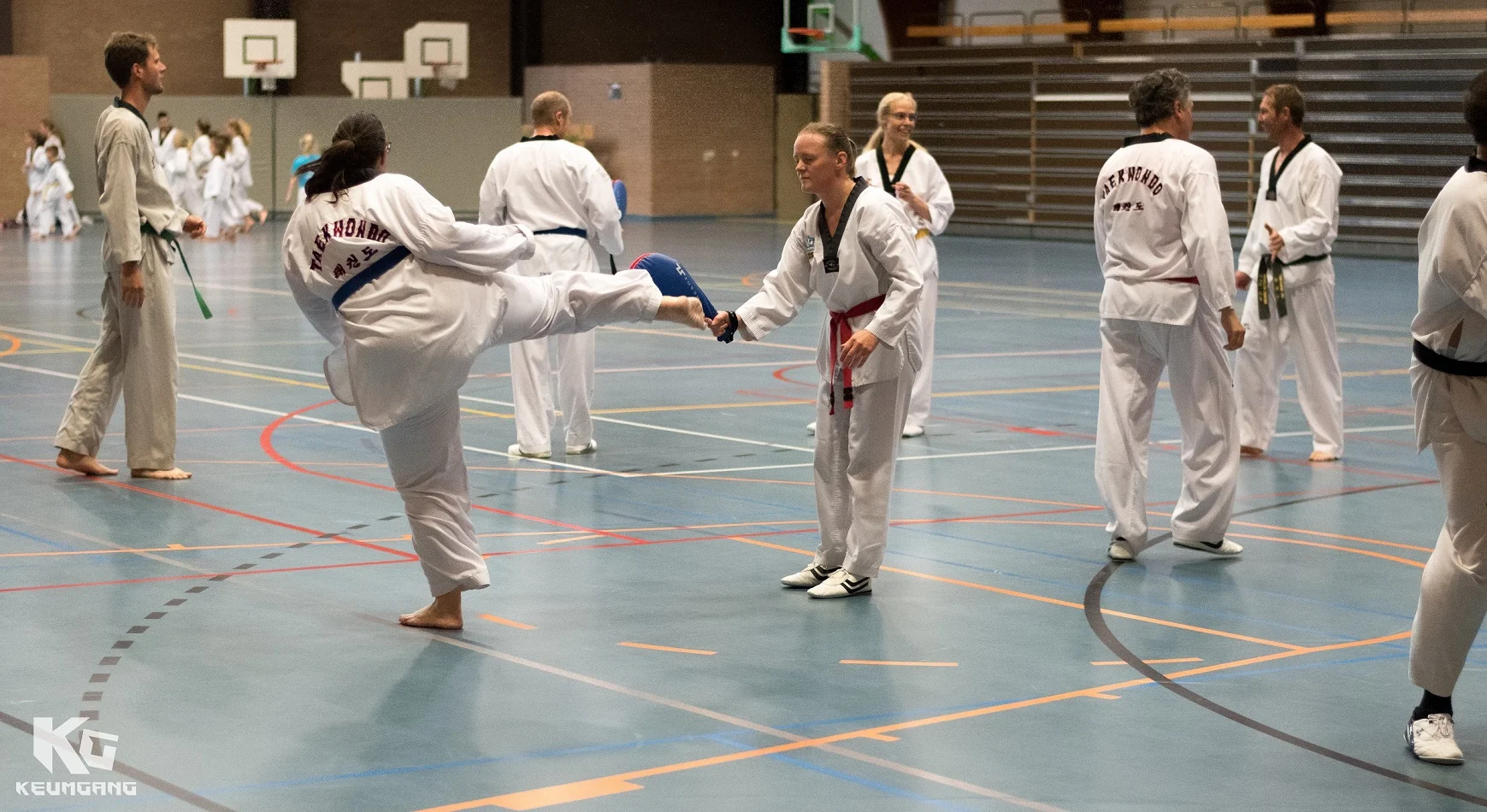 Taekwondo, Vechtsport, Diest, Taekwondoschool, recreanten