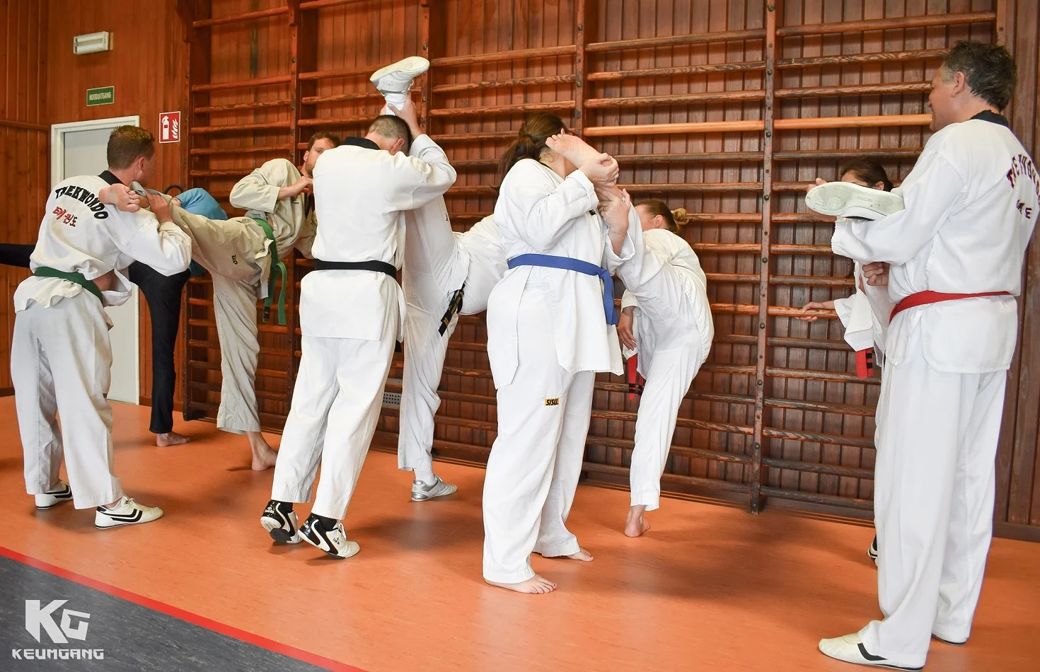 Taekwondo, Vechtsport, Diest, Taekwondoschool, recreanten