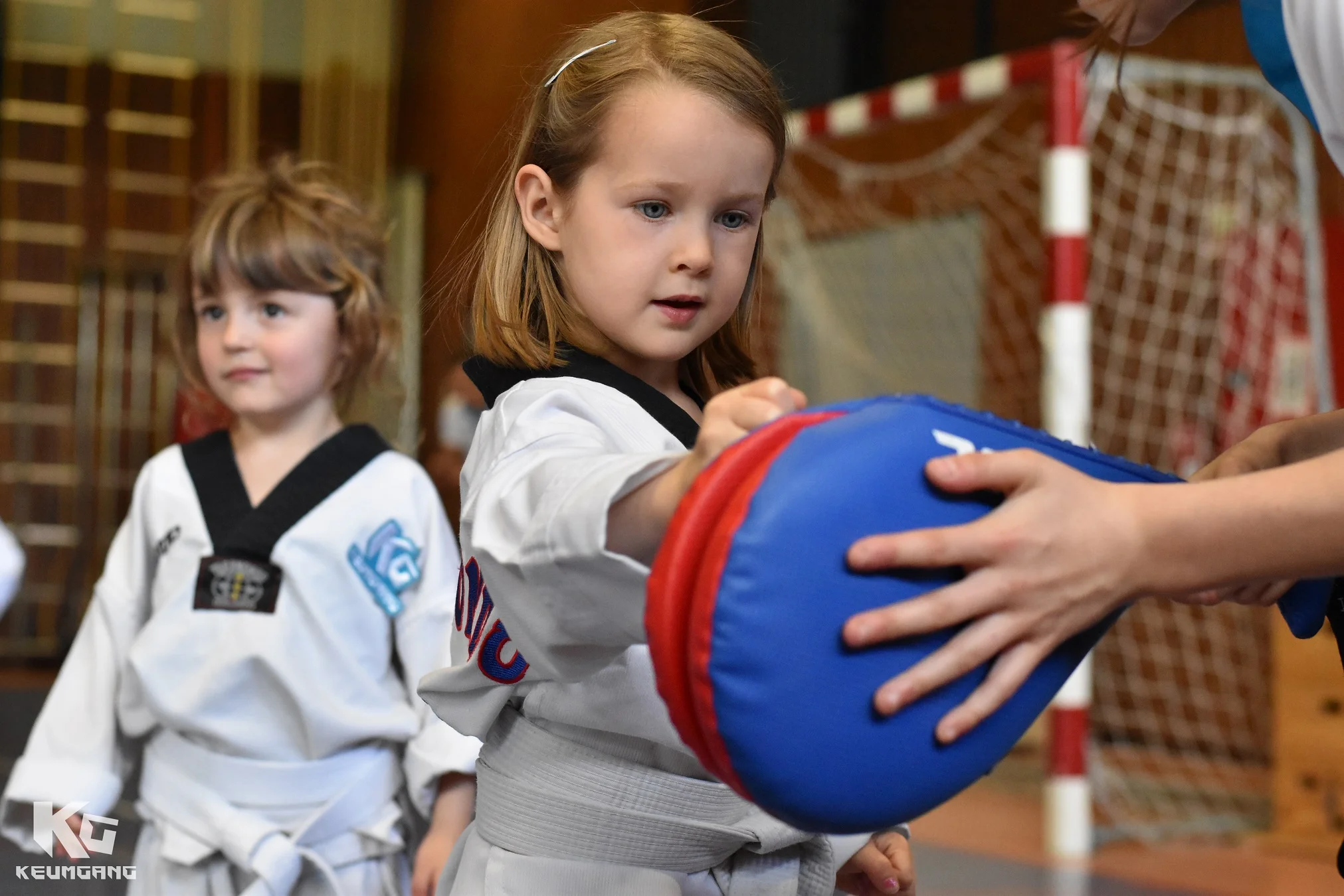 Taekwondo, Vechtsport, Diest, Taekwondoschool, Leeftijdsgroepen, kleuters