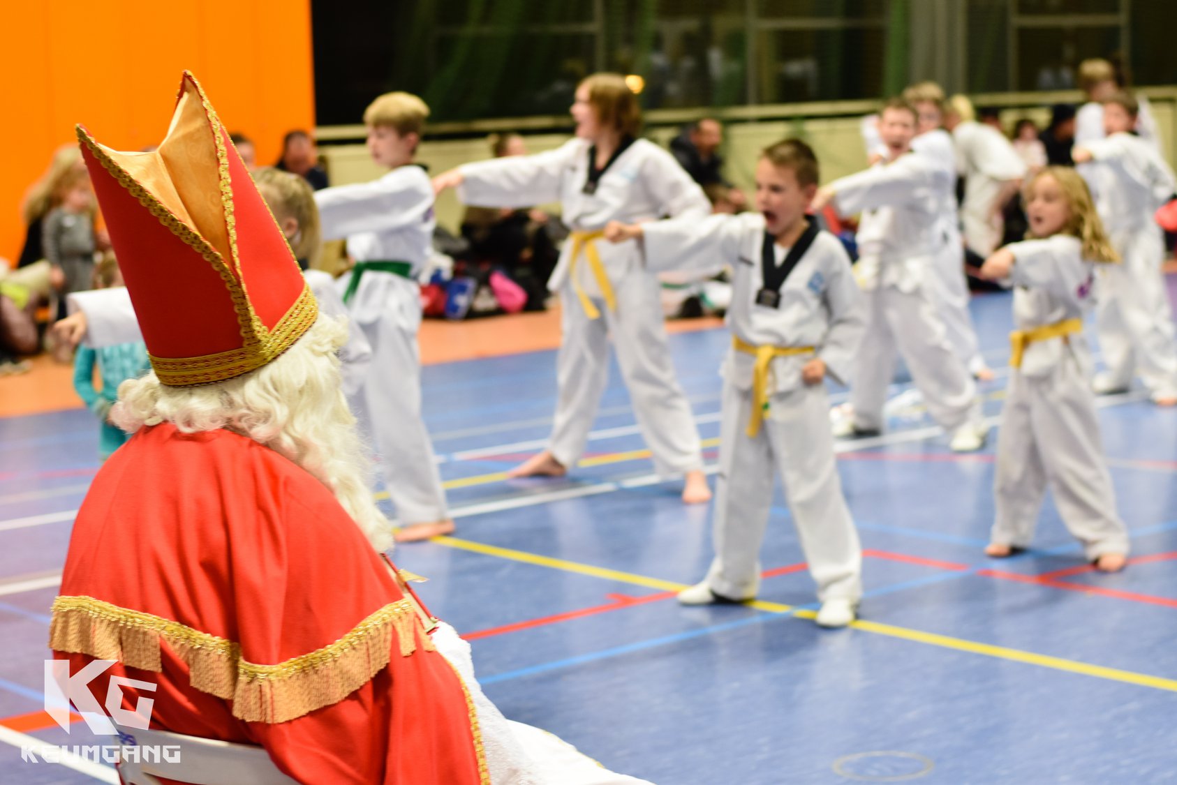 Taekwondo, Vechtsport, Diest, Taekwondoschool, Sinterklaas