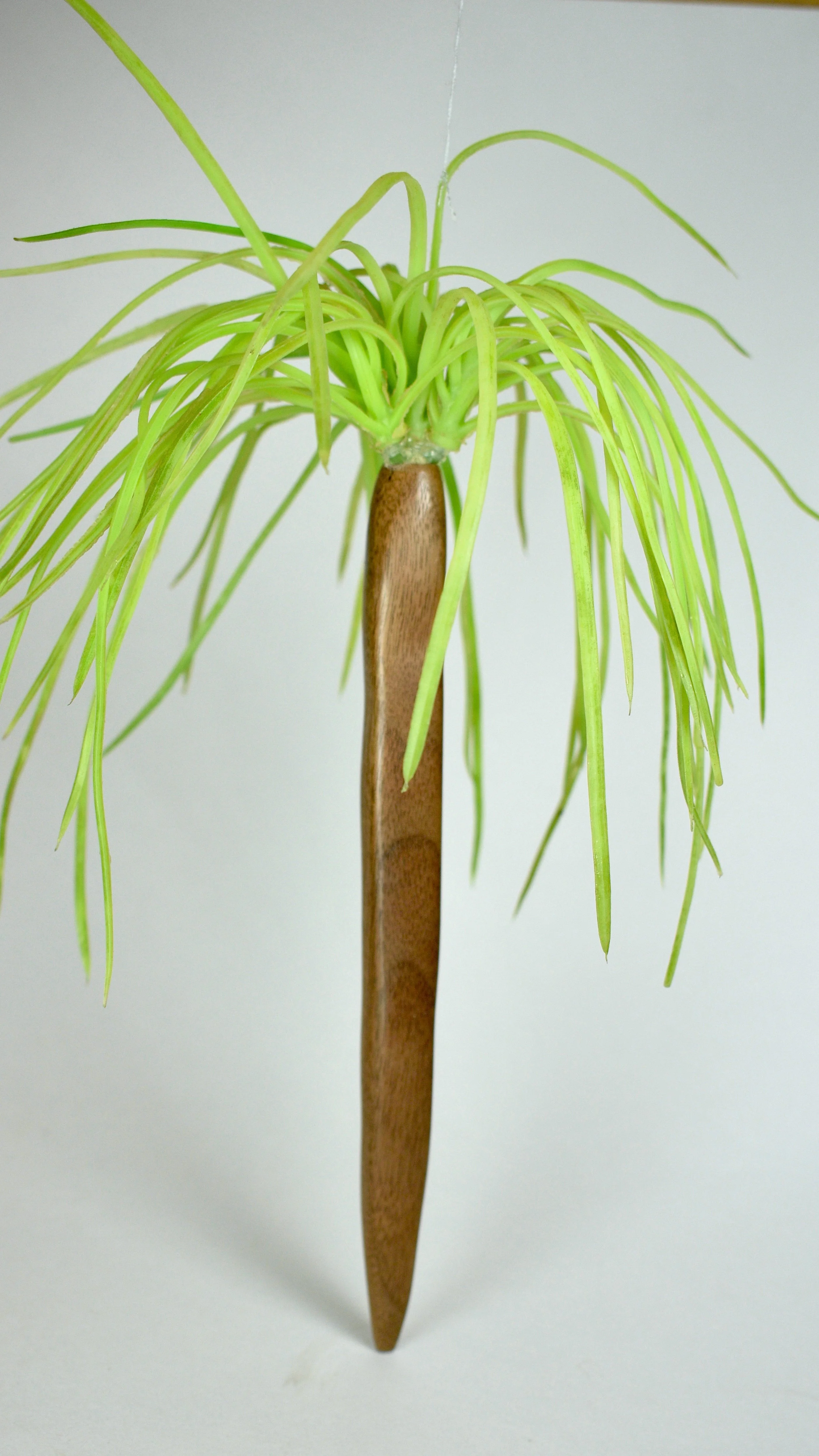 stinging1.jpg